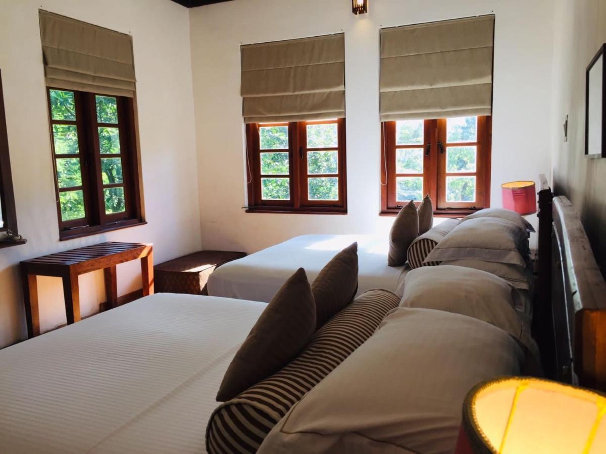 Tea Cottage Resort & Spa Nawalapitiya Eksteriør bilde
