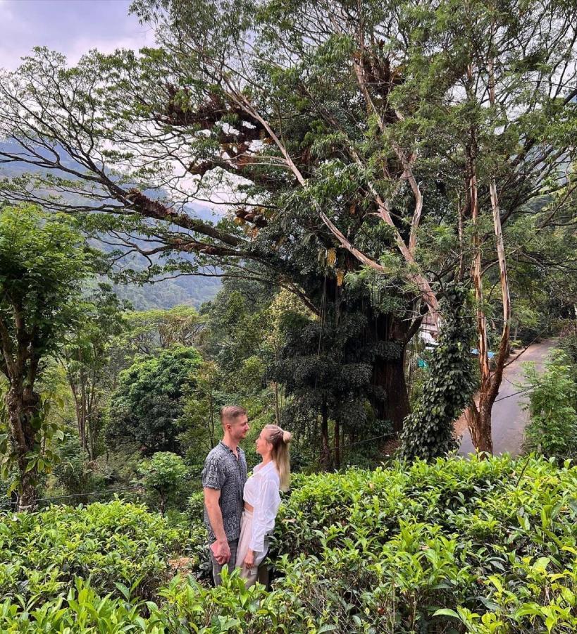 Tea Cottage Resort & Spa Nawalapitiya Eksteriør bilde