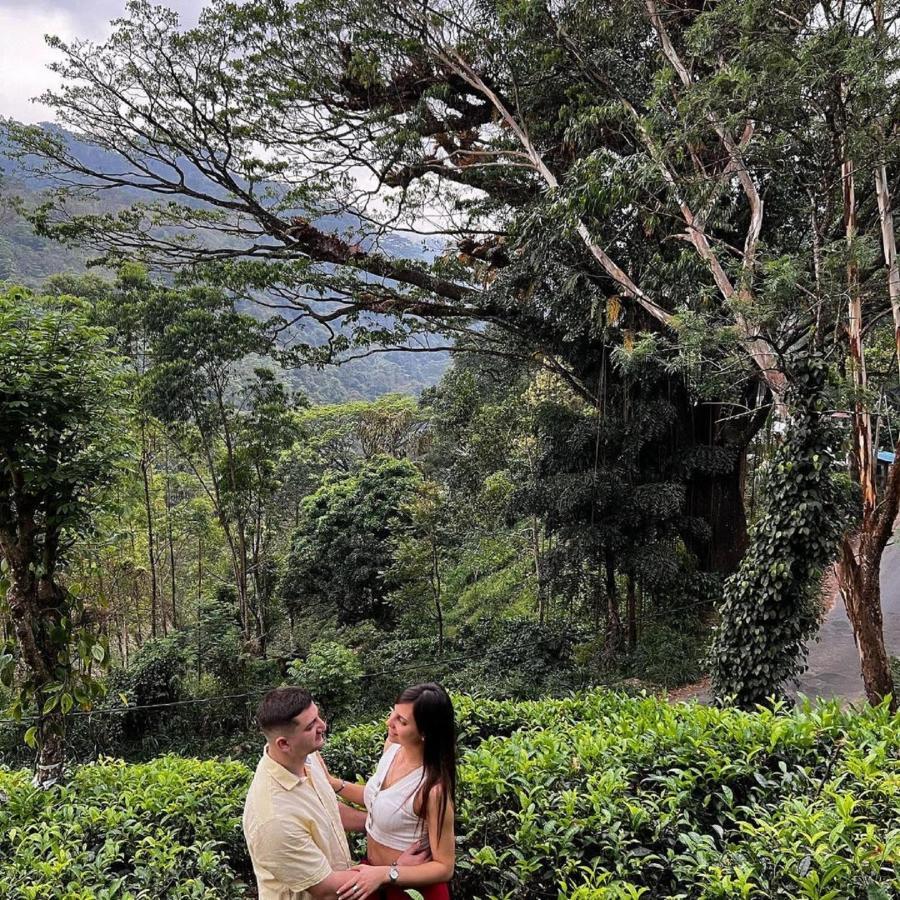 Tea Cottage Resort & Spa Nawalapitiya Eksteriør bilde