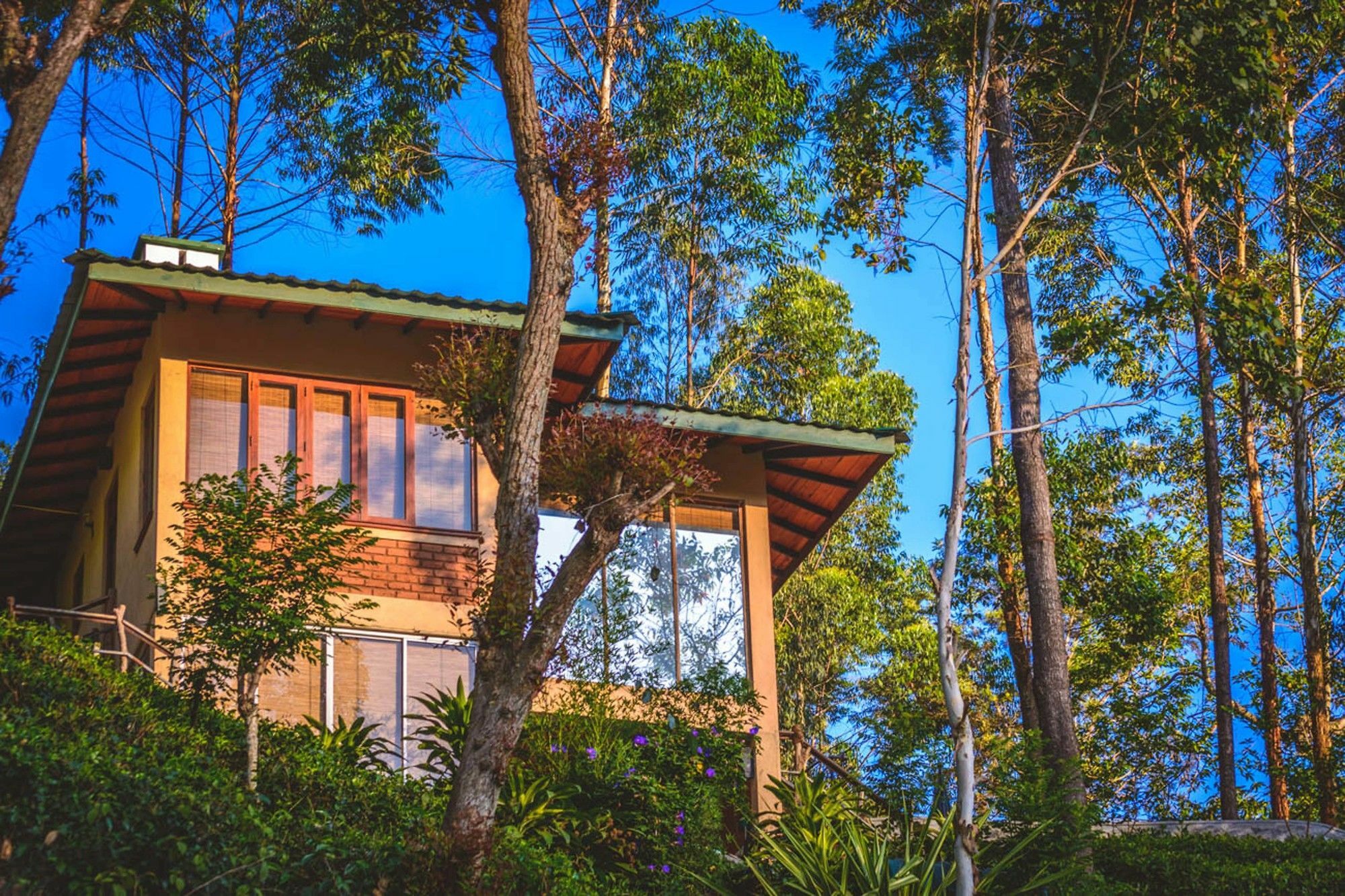 Tea Cottage Resort & Spa Nawalapitiya Eksteriør bilde